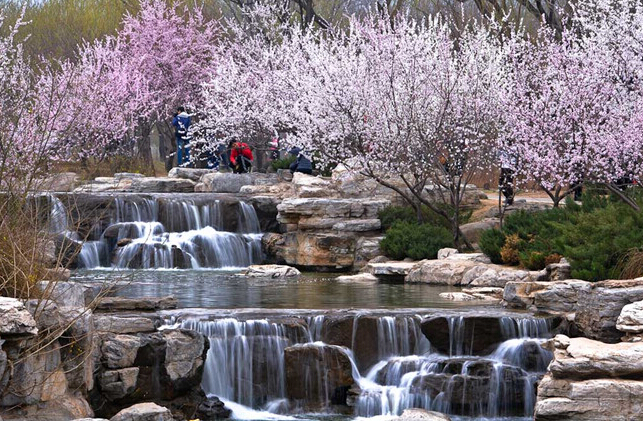 北京清明节去哪玩