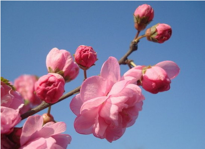 春分时极点正午太阳高度角