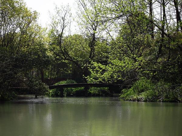 在细微处，觅得春天（西溪，灵隐寺，永福寺，法云古村）13