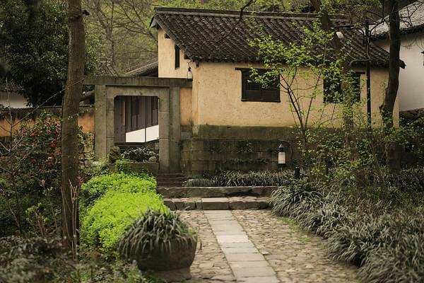 在细微处，觅得春天（西溪，灵隐寺，永福寺，法云古村）30