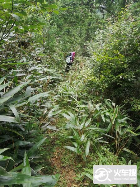 带着女儿去走山-------余仓古道24