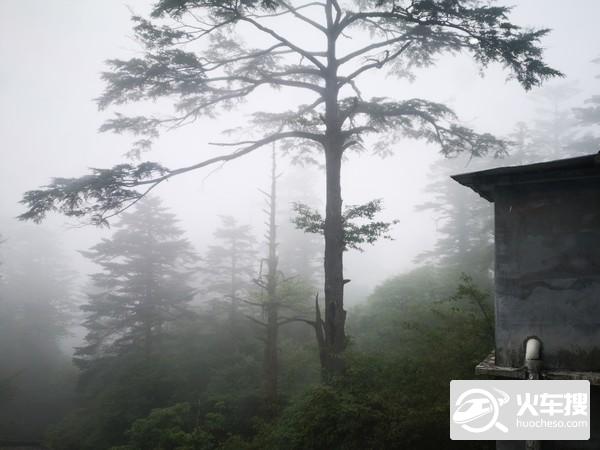 晓食域之乐山美食、峨眉日出云海两天一夜24