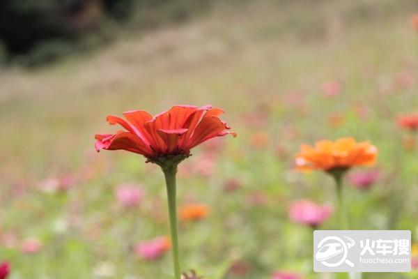 走进神秘白马村18