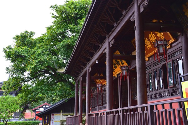 【遂宁】观音故里一日游（灵泉寺-广德寺-宋瓷博物馆）32