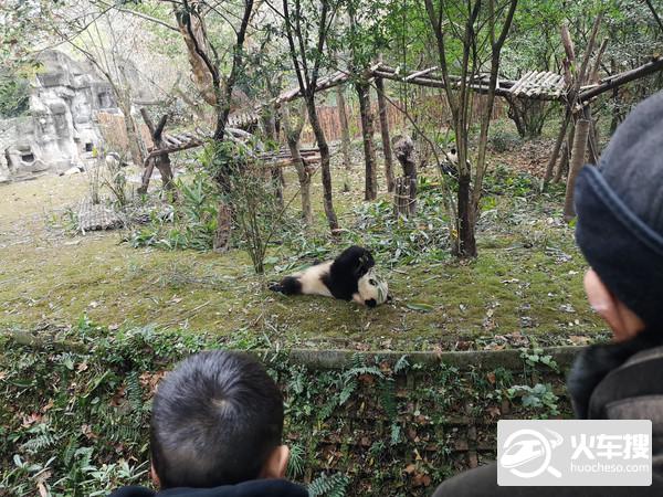 一家老小游成都（5日游）38