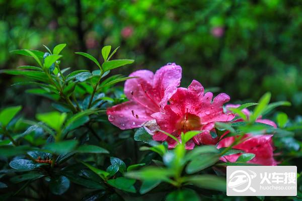 漫步溪口，雨天也很浪漫哦17