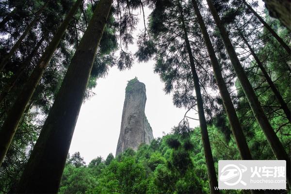 春到雁荡山起风雷：相看两不厌，只有雁荡山8