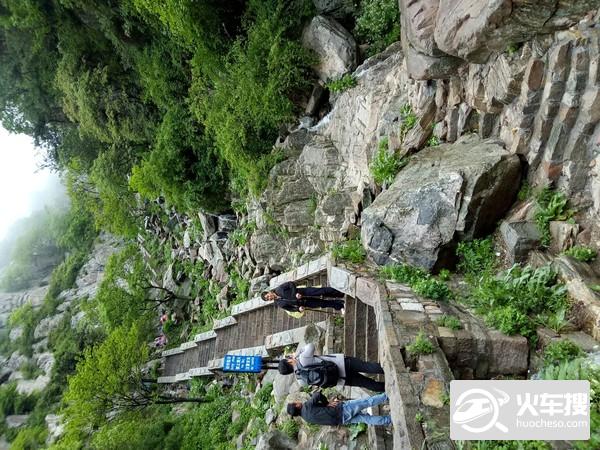 2018年5月20日，泰山19